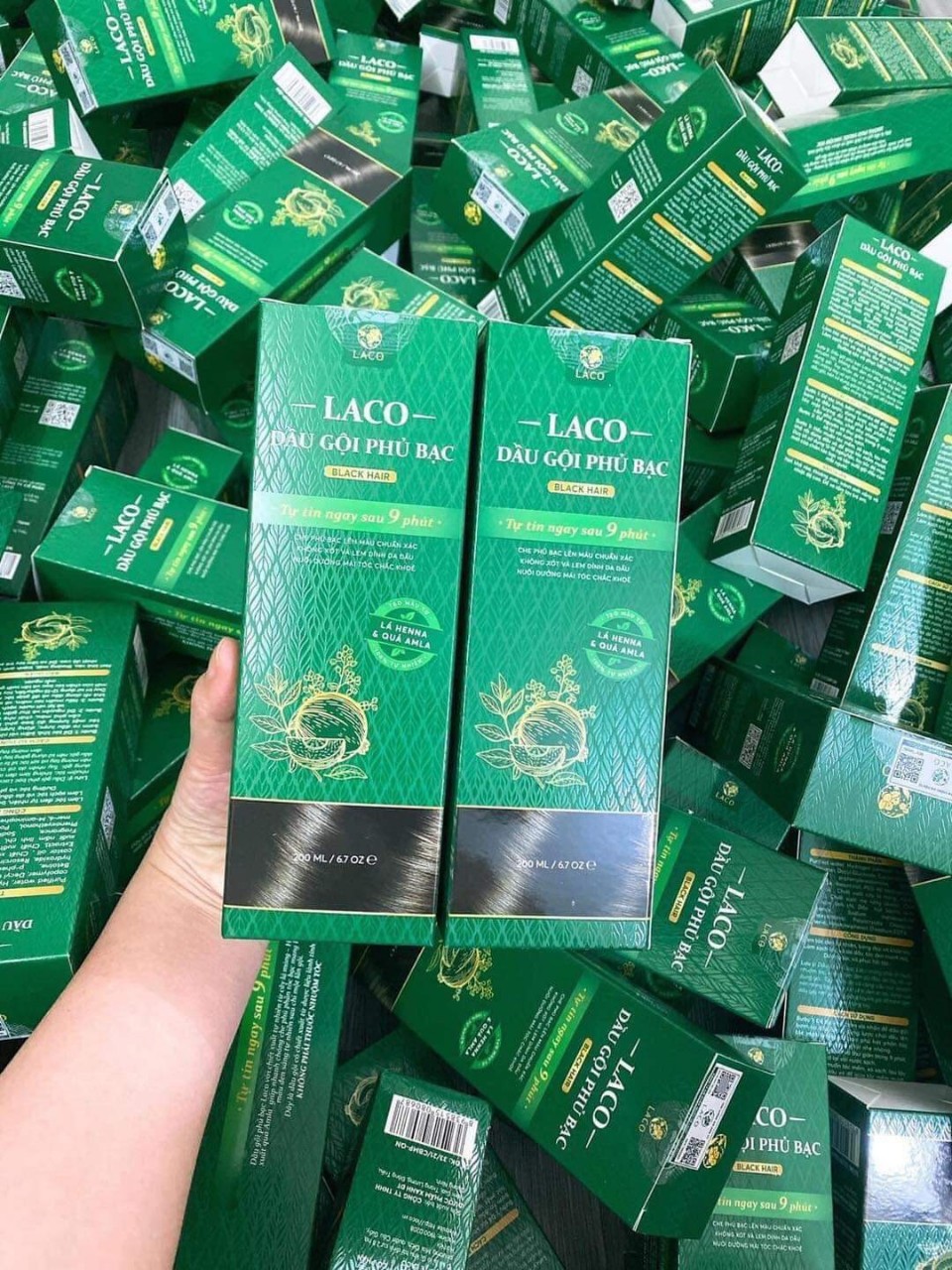 Dầu Gội Phủ Bạc LACO Black Hair, Nhuộm Tóc Đen Thảo Dược Chỉ Sau 9 Phút, Nhuộm Tại Nhà An Toàn 200ml