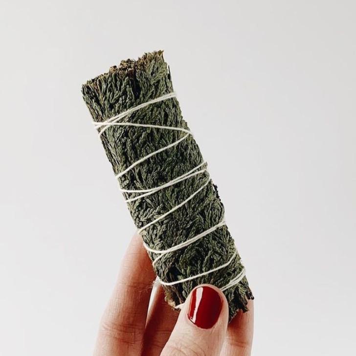 Xô Thơm Tuyết Tùng (Cedar Smudge) Xông Nhà Mới & Giải Phóng Không Gian l XÔ THƠM THANH TẨY