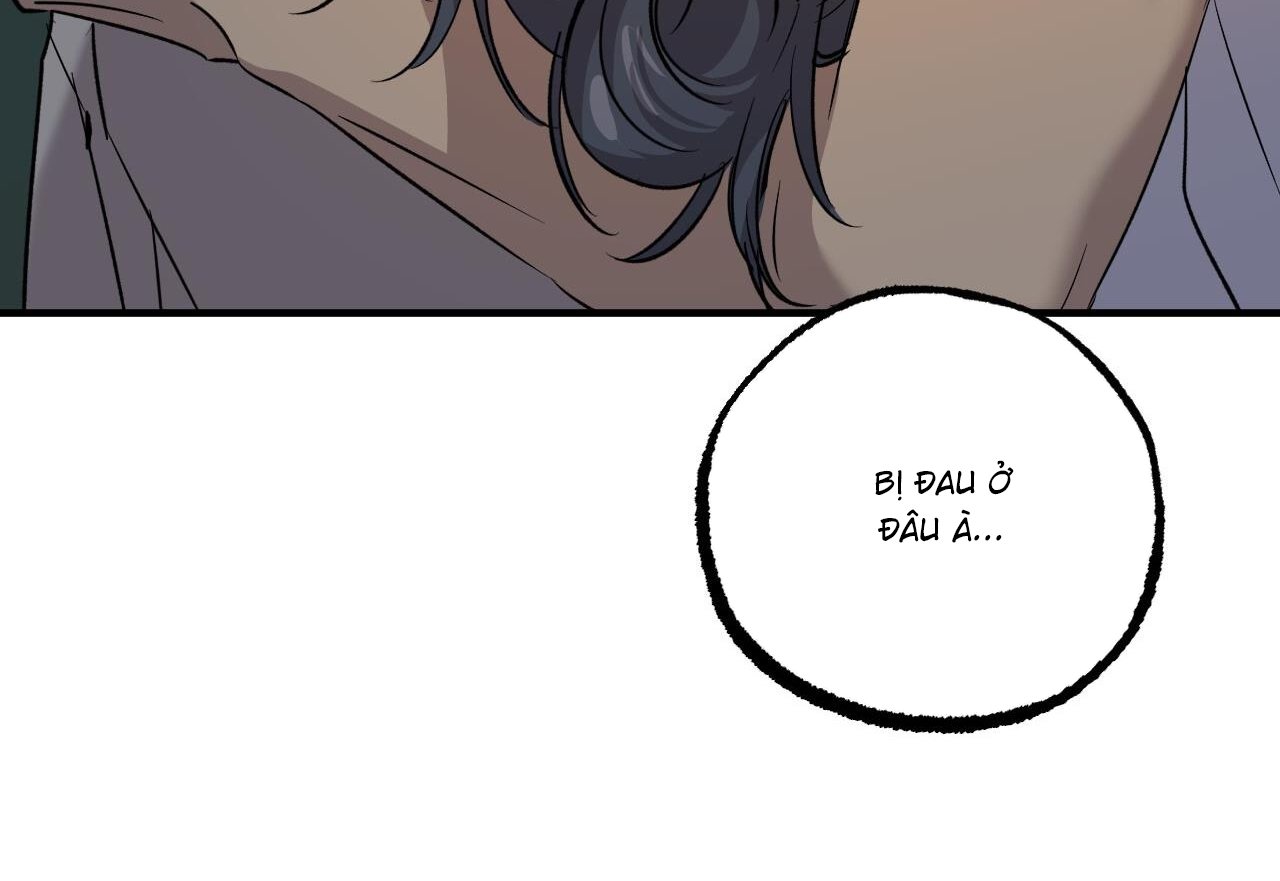 những chú thỏ của hapypy chapter 59 65