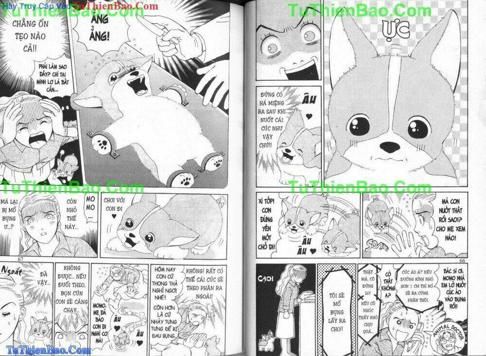chó con mo mo chapter 3 35