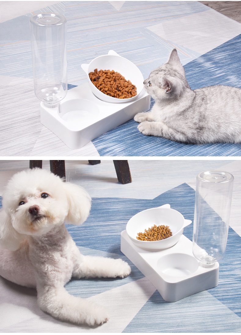Bộ Chén ăn Bình nước cho chó mèo