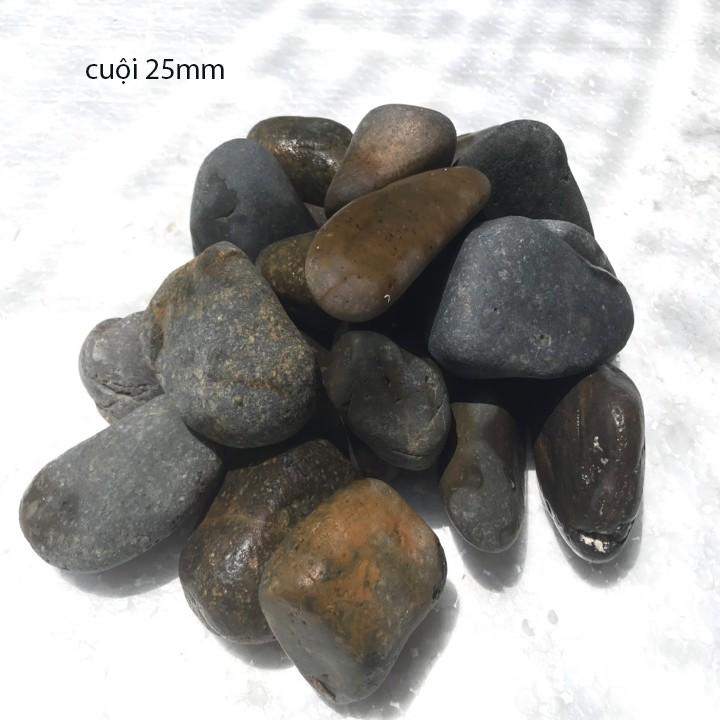 1kg sỏi bể cá - sỏi hồ cá