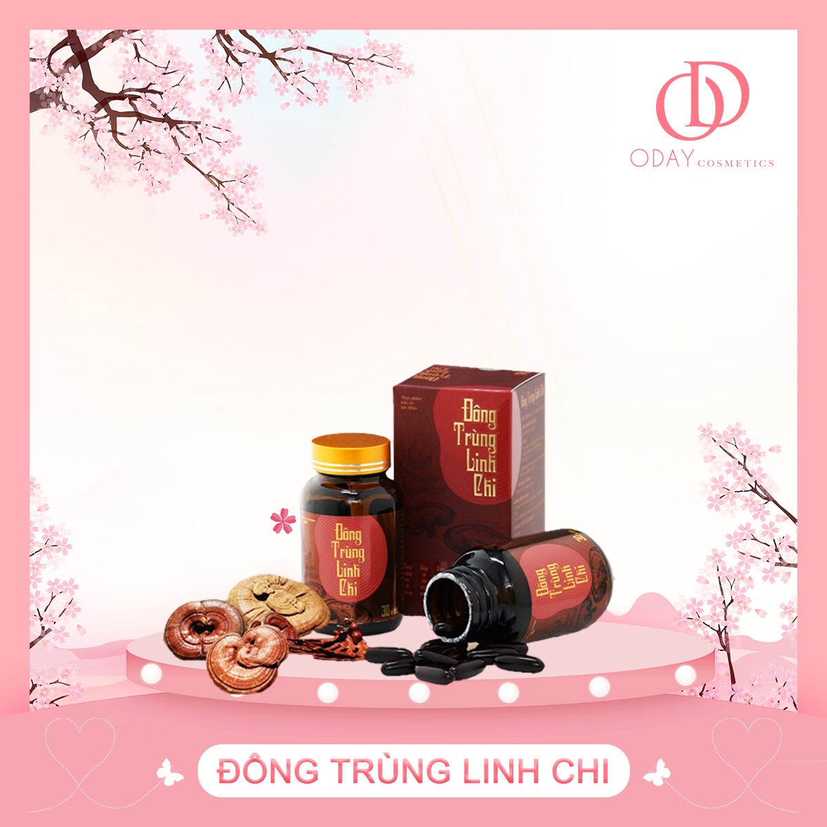 Đông Trùng Linh Chi True Natrural