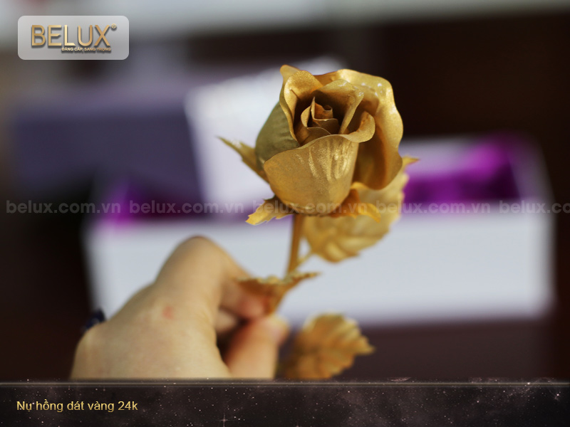 Nụ hồng dát vàng 24k - quà tặng người thương