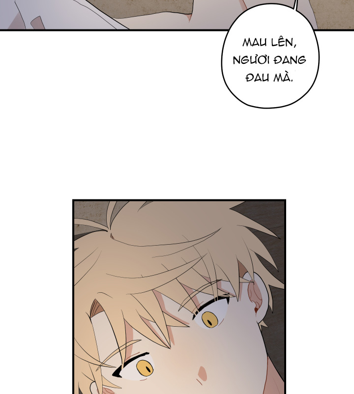 đường hoa liên kiều rơi chapter 25 77