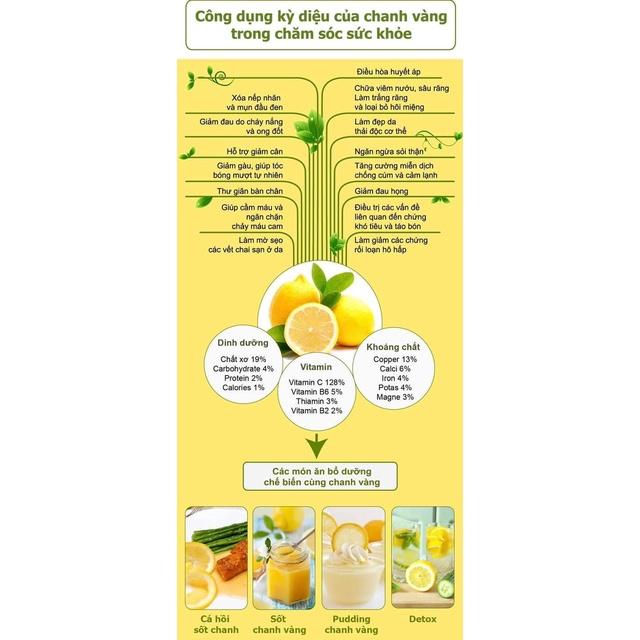 CÂY GIỐNG CHANH VÀNG KHỔNG LỒ