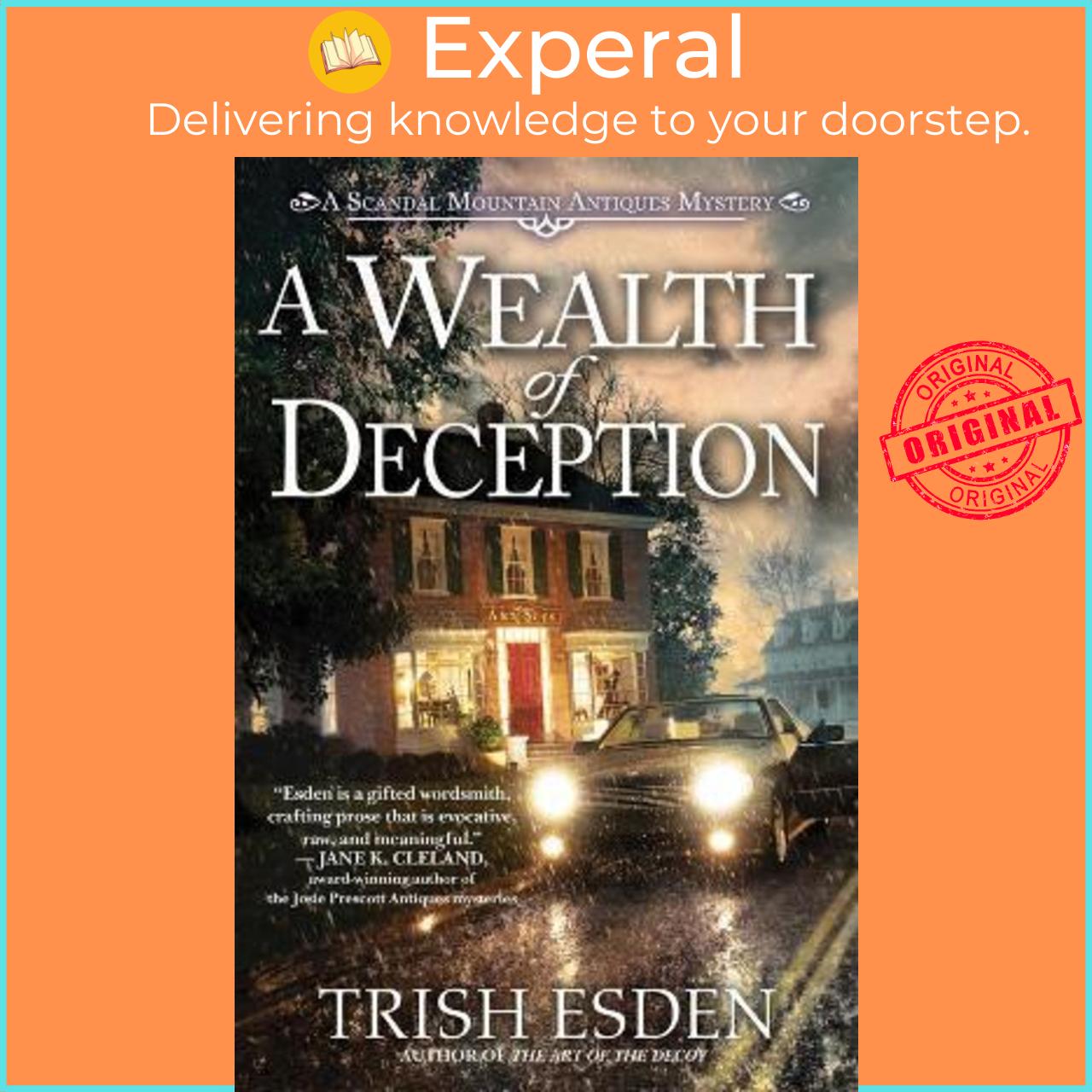Sách - A Wealth Of Deception by Trish Esden