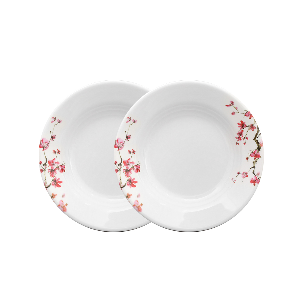 Dĩa (Đĩa) 10 sâu dày An Toàn Sức Khỏe Nhựa Xanh Melamine A5210 SA