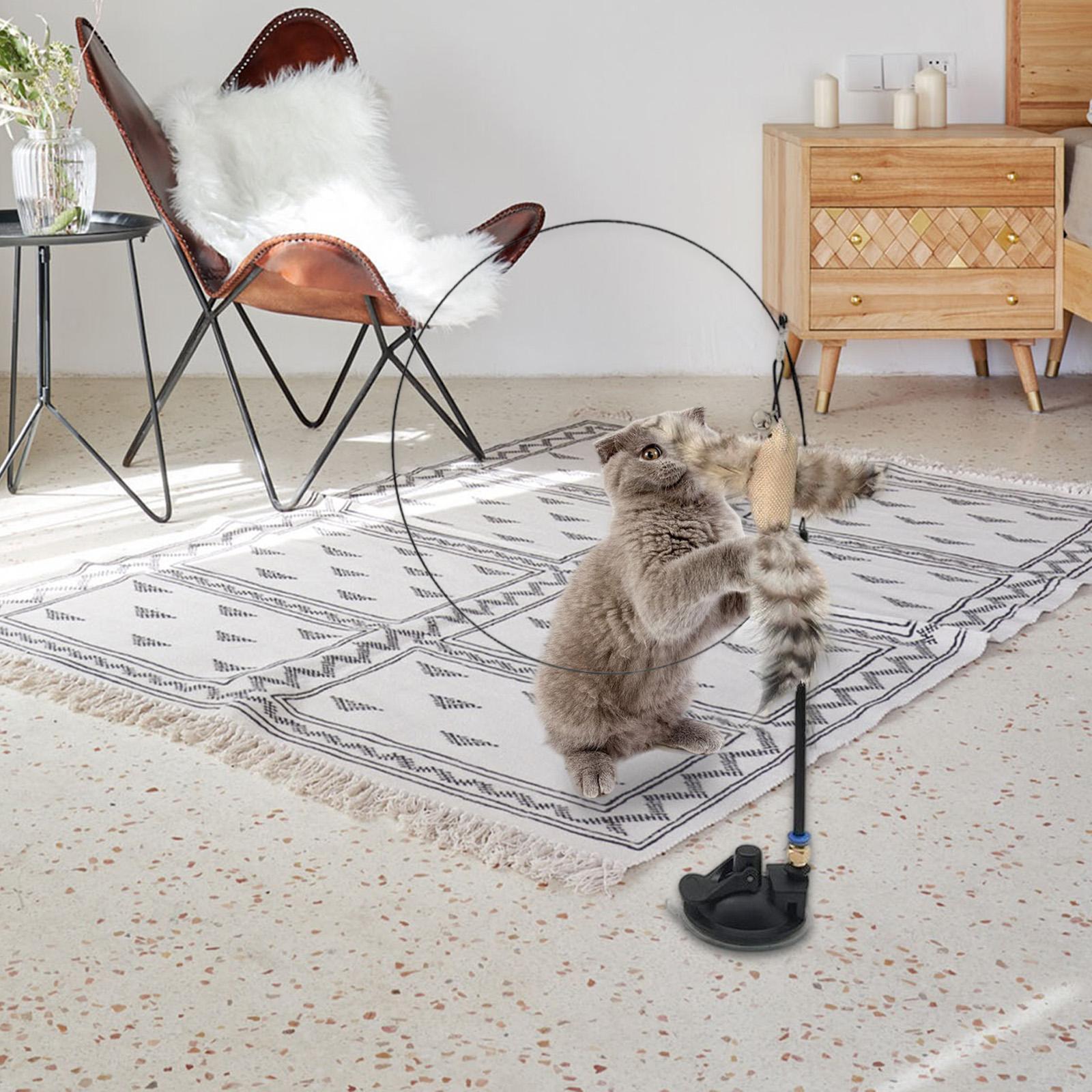 Cat Feather Toy Interactive Teaser  with  Kitten Indoor Exercise