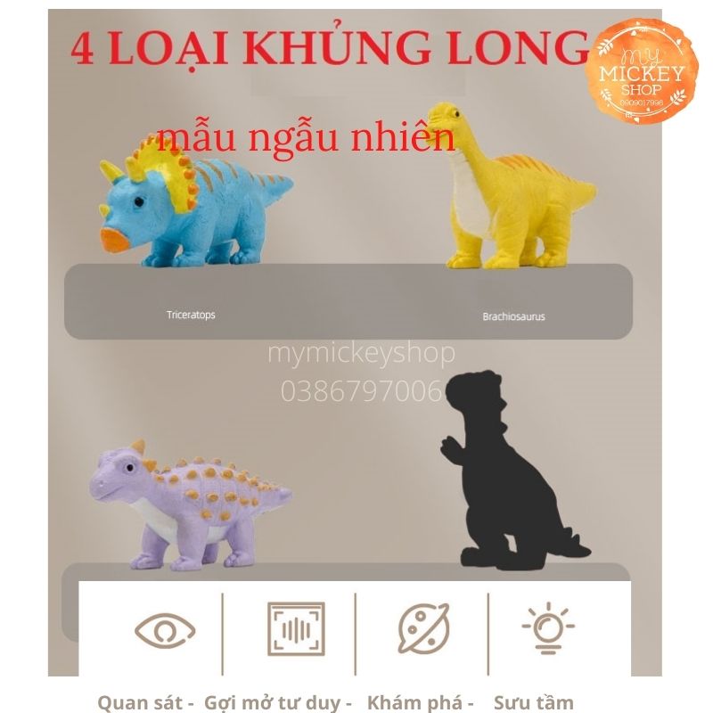 Trò chơi Trứng Khủng Long Tự Nở Trong nước size lớn nhiều mẫu