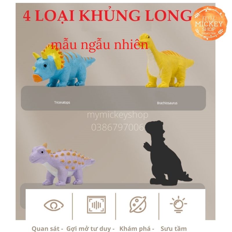 Trò chơi Trứng Khủng Long Tự Nở Trong nước size lớn nhiều mẫu (giao ngẫu nhiên)