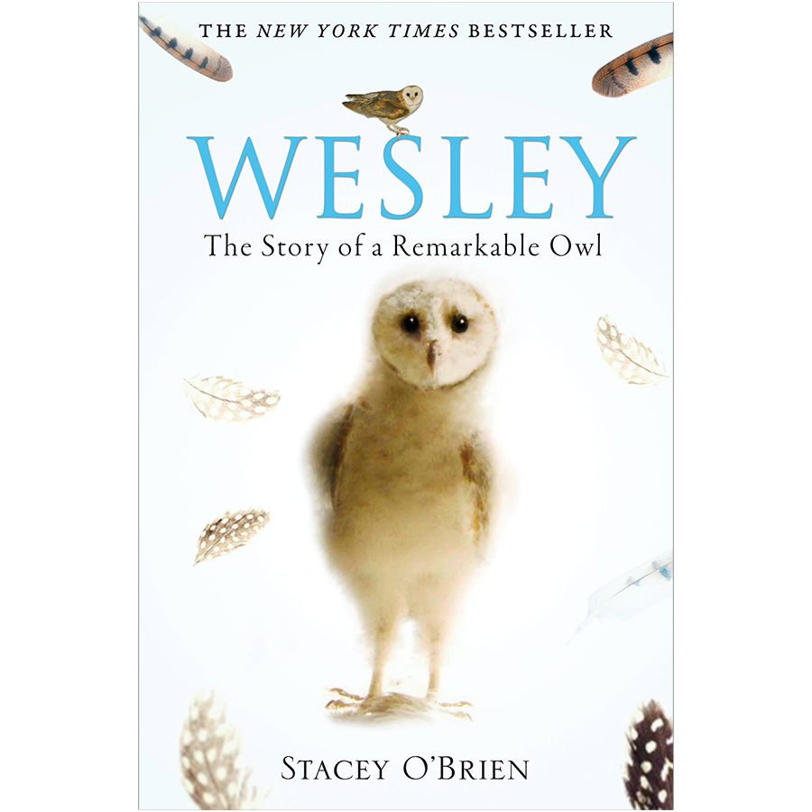 [Hàng thanh lý miễn đổi trả] Wesley: The Story of a Remarkable Owl