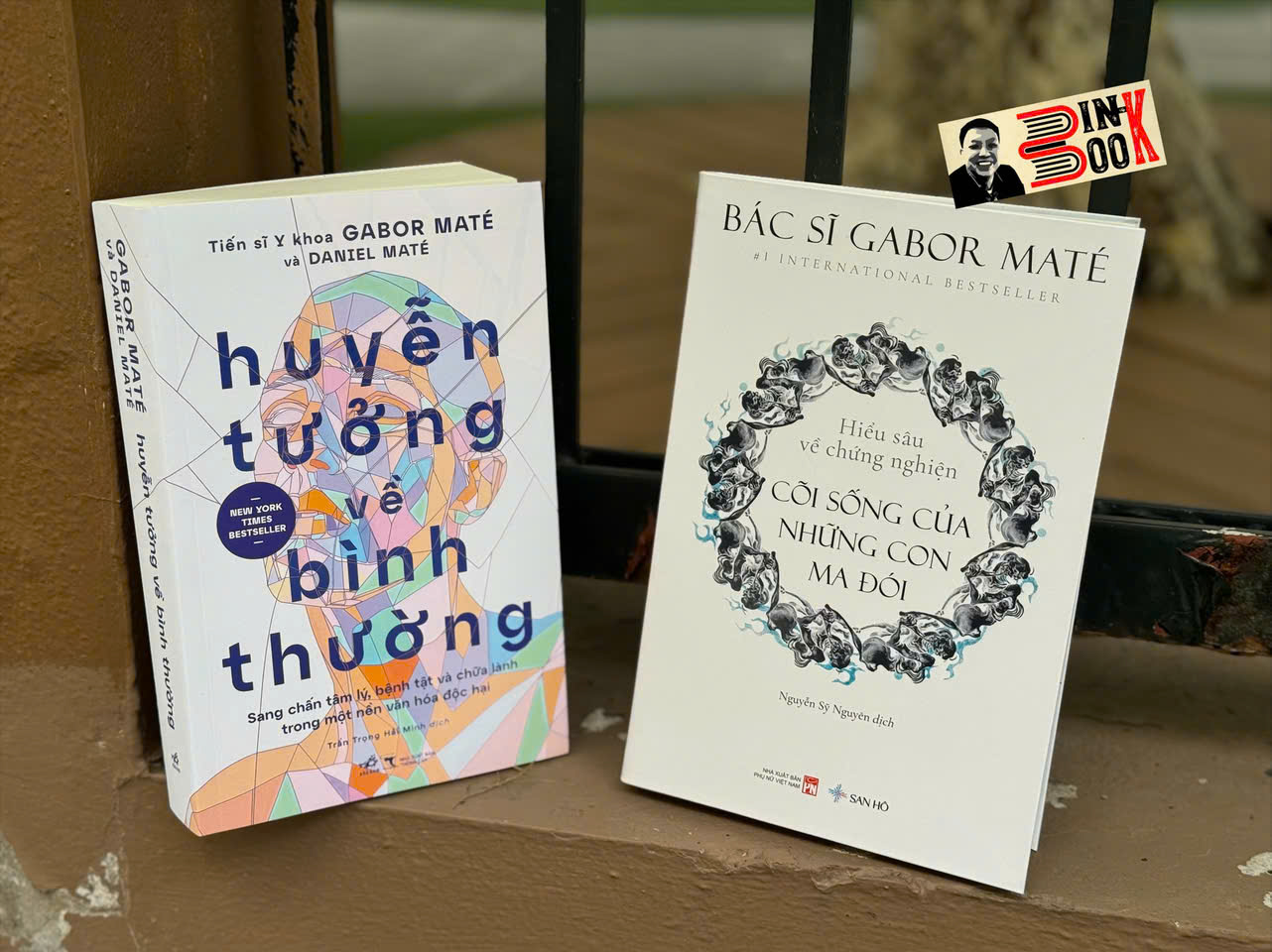 (Combo 2 cuốn) HUYỄN TƯỞNG VỀ BÌNH THƯỜNG - CÕI SỐNG CỦA NHỮNG CON MA ĐÓI - Gabor Maté - Daniel Maté – Nhã Nam