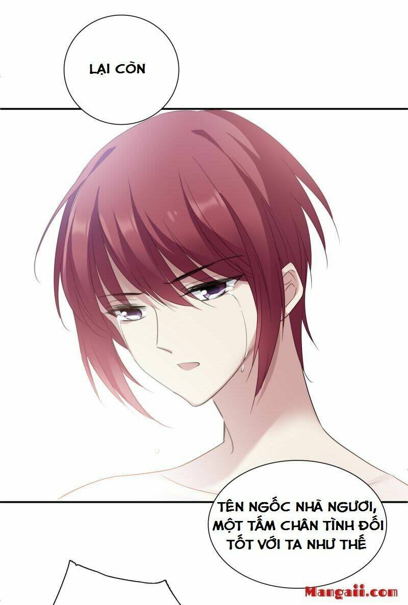 toàn cơ từ chapter 56.1 16