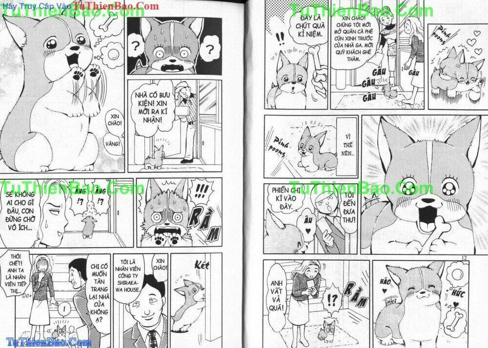 chó con mo mo chapter 5 7