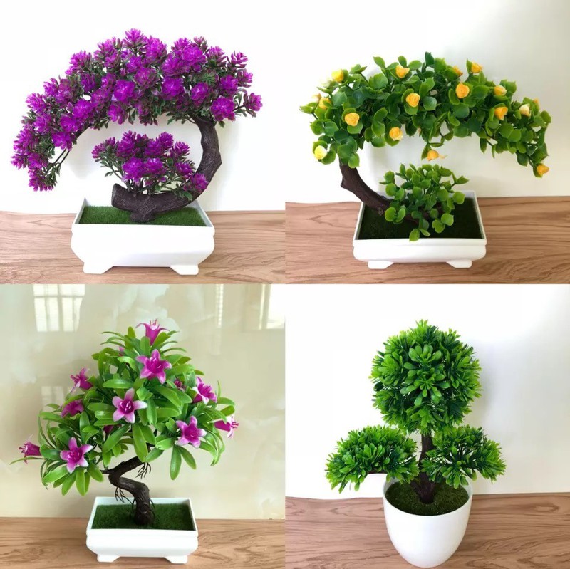 Chậu Bonsai hình nửa mặt trăng lưỡi liềm Xanh  trang trí