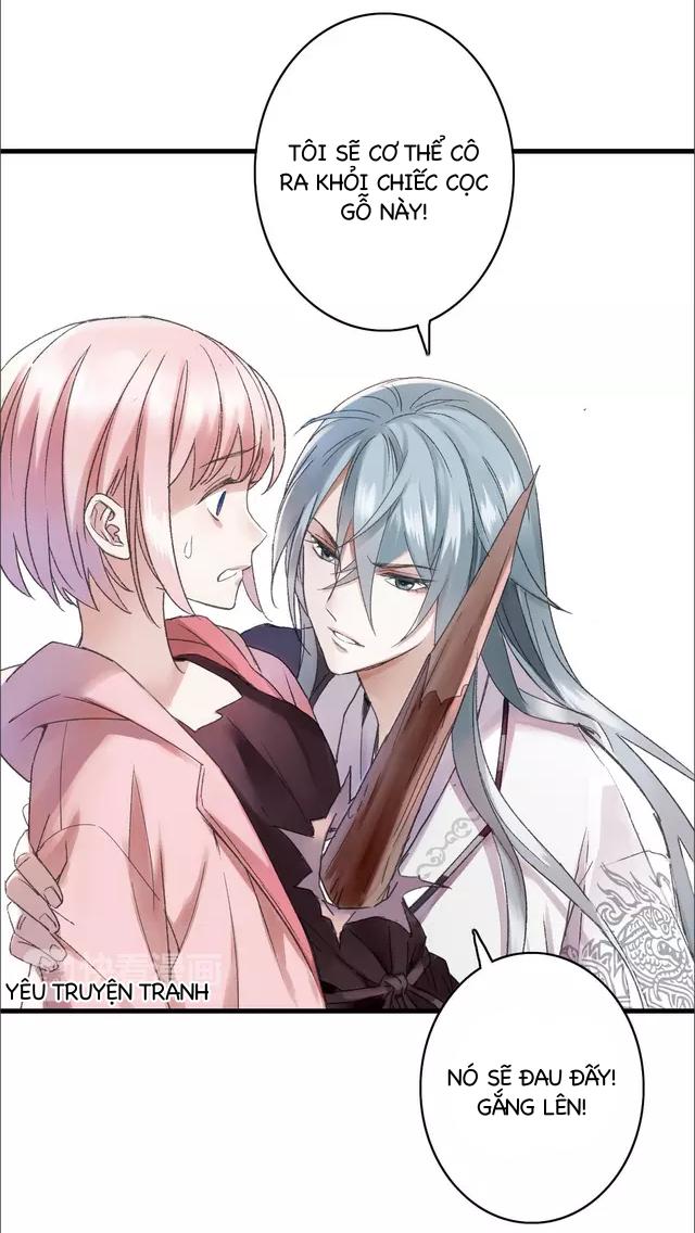 thực nhị chapter 11.1 13