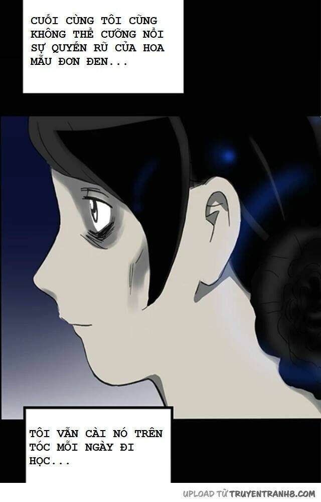 hoa mẫu đơn đen chapter 5 19