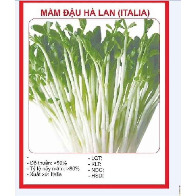 Hạt Giống Mầm Đậu Hà Lan -1Kg
