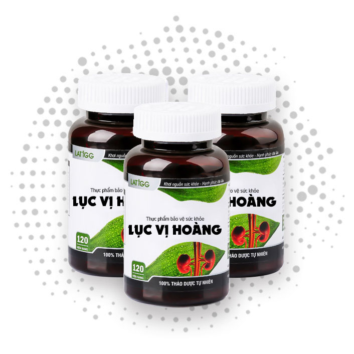 Combo 2 hộp thực phẩm bảo vệ sức khỏe Lục Vị Hoàng - Hỗ trợ điều trị tiểu đêm, thận yếu, cải thiện chức năng thận