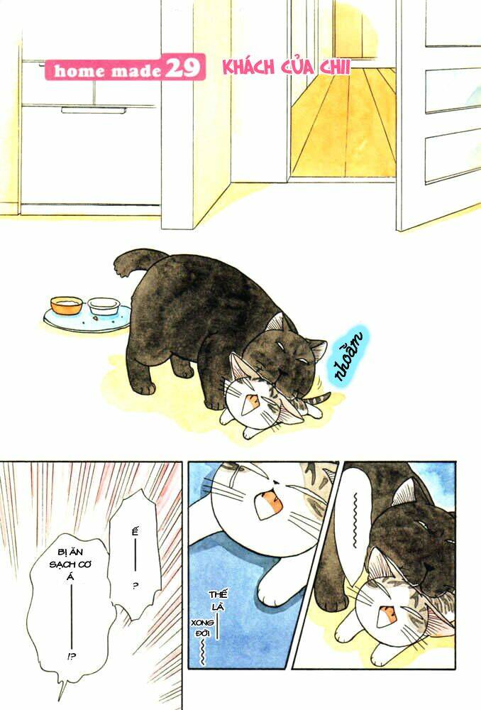 chi's sweet home chapter 29 1