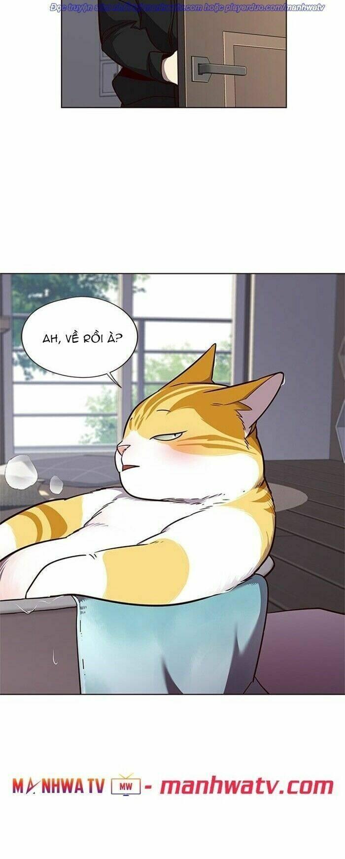 biến thân thành mèo chapter 47 27