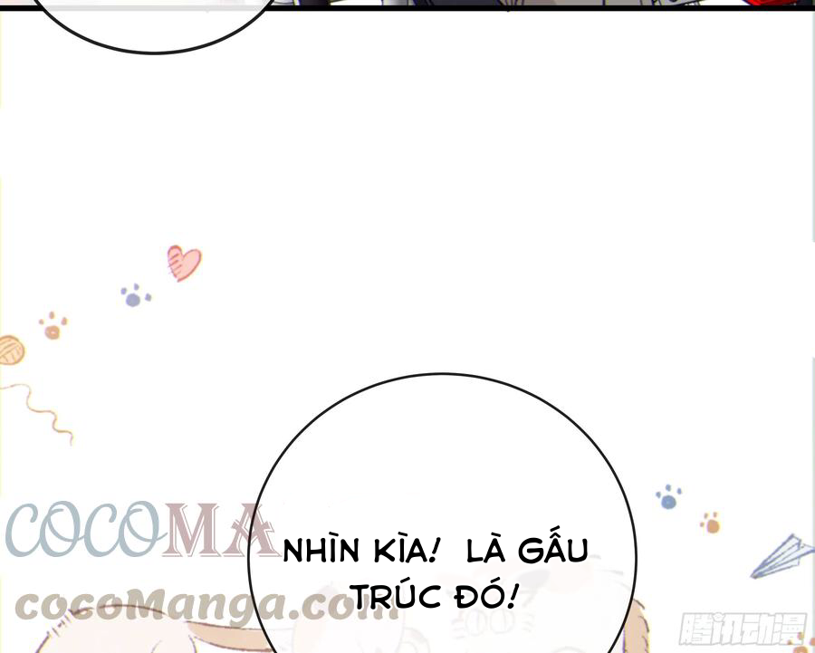 đêm sao chapter 42 39