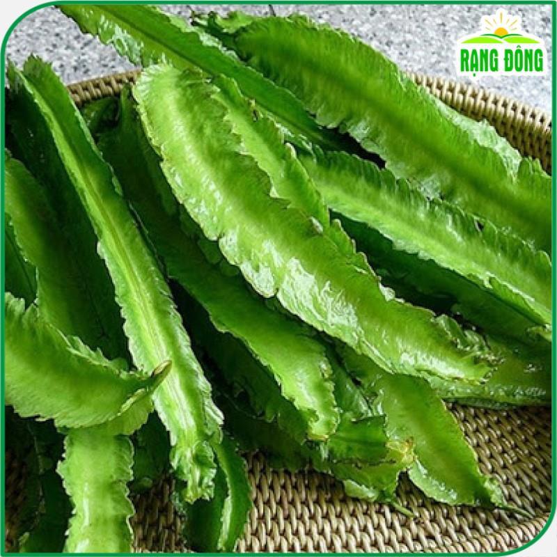 Hạt giống Đậu Rồng Cao Sản Sinh Trưởng Khỏe, Trồng Quanh Năm, Ra Trái Liên Tục - Hạt Giống Rạng Đông