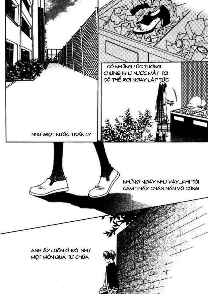 cynical orange - quả cam thủy tinh chapter 4 38