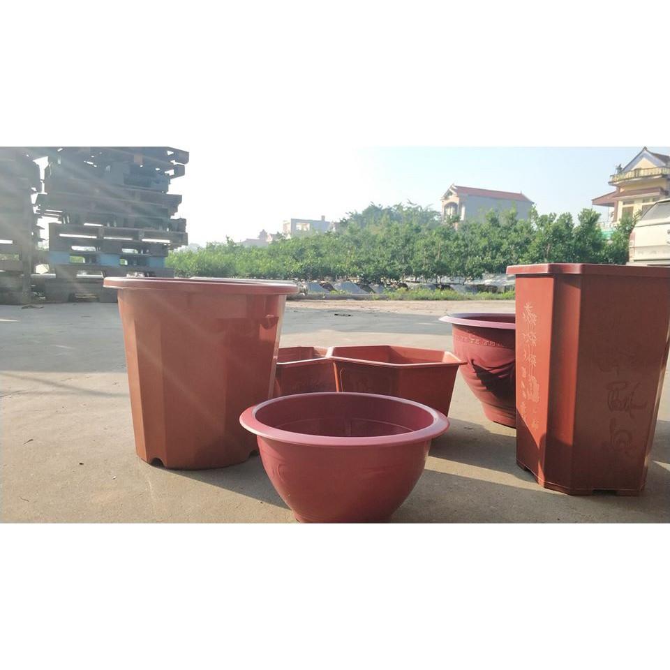 Bộ 2 Chậu Cây Không Có Lỗ Thoát Nước Trồng Hoa Sen Hoa Súng - Nuôi Cá T58