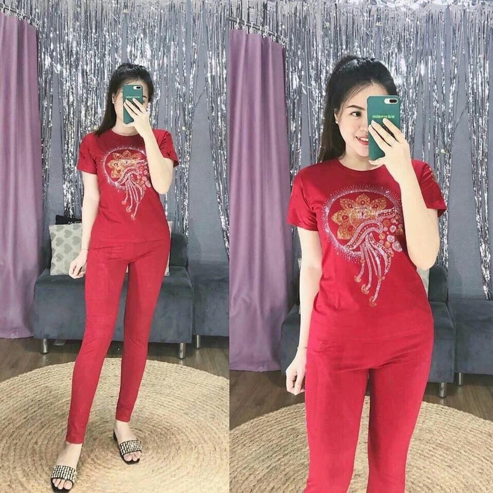 Set đồ bộ dài mặc nhà thun cotton co giãn 4 chiều / có size XXL
