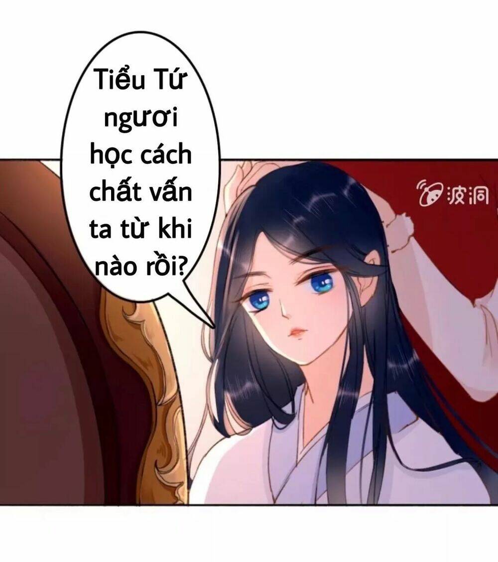 sủng phi của vương chapter 60 4