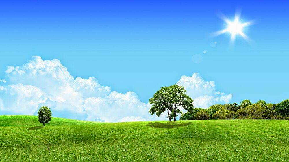 album natural wallpapers chapter 5 19