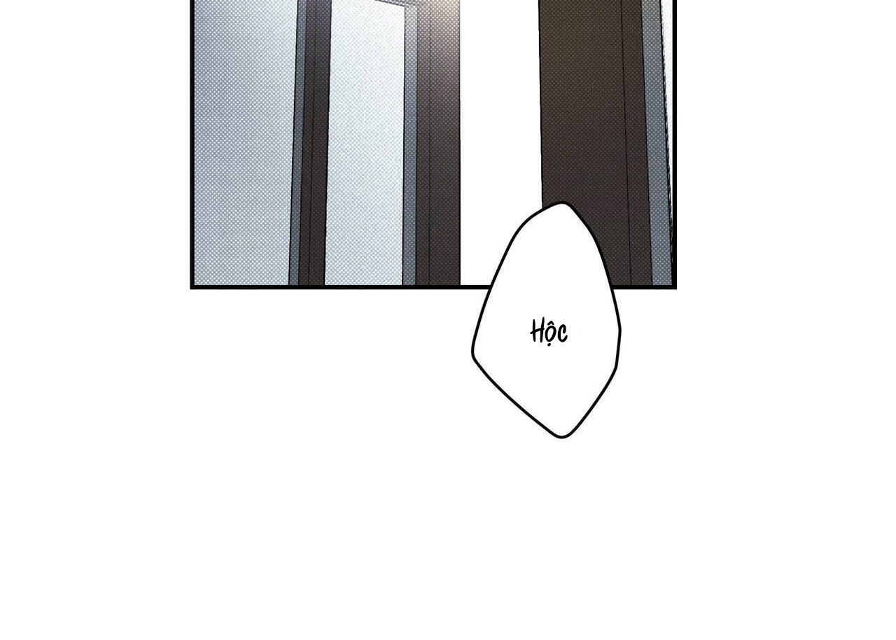 chàng giao pizza và gold palace chapter 40 144