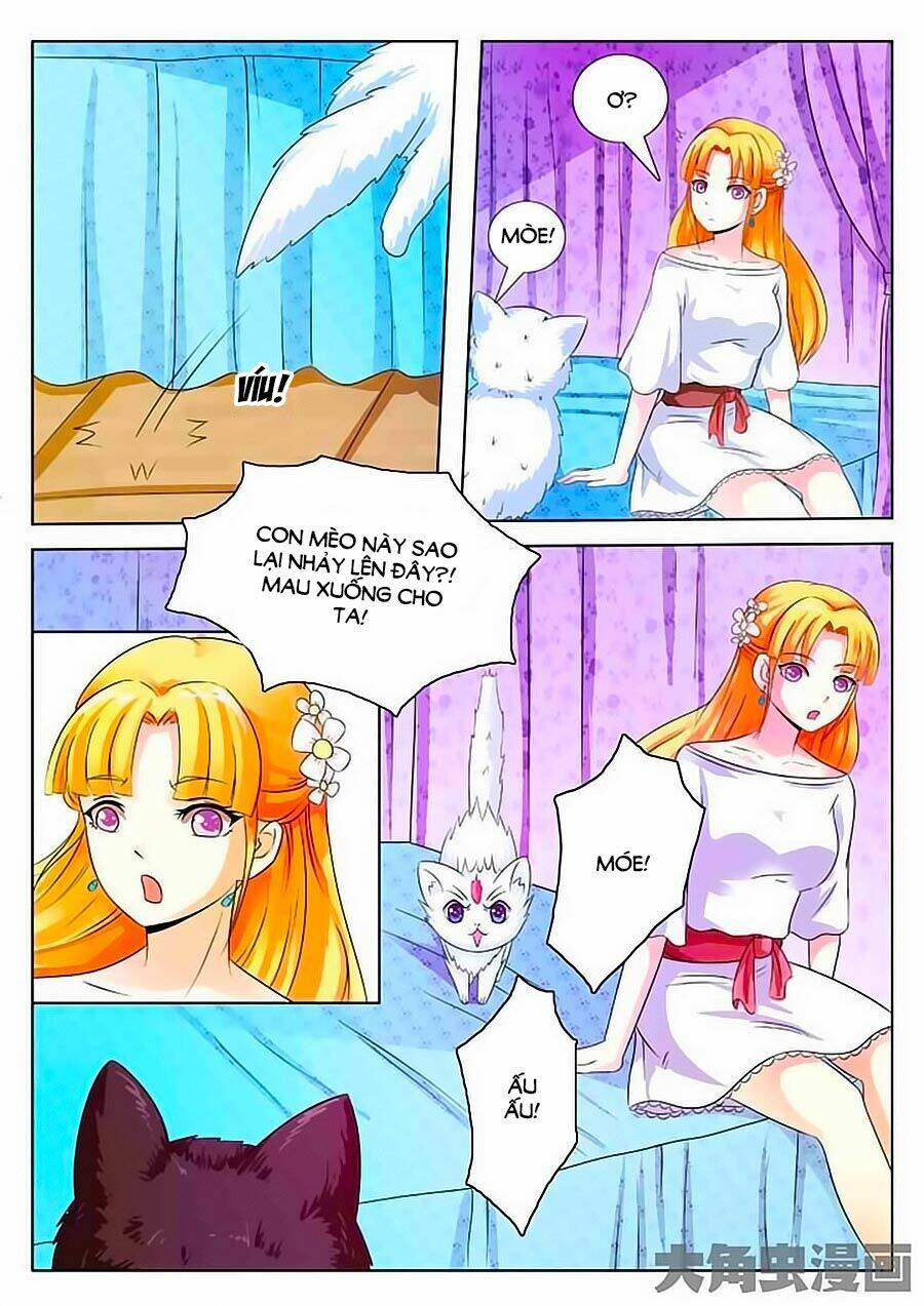 mau lấy con mèo đó ra chapter 2 3