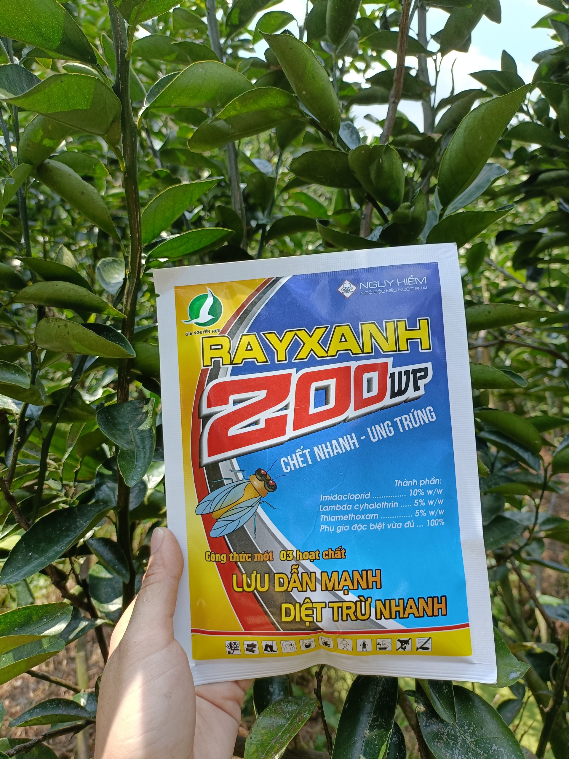 RAY XANH 200WP, CHUYÊN RẦY RỆP, MỐI,KIẾN Gói 80Gr