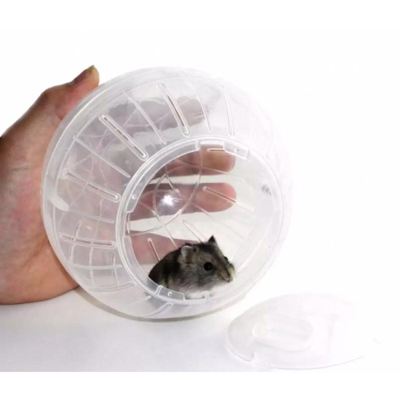 Banh chạy trong nhà vui nhộn cho hamster robo, ww, sóc,