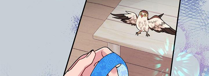 công chúa của loài chim chapter 49.1 173