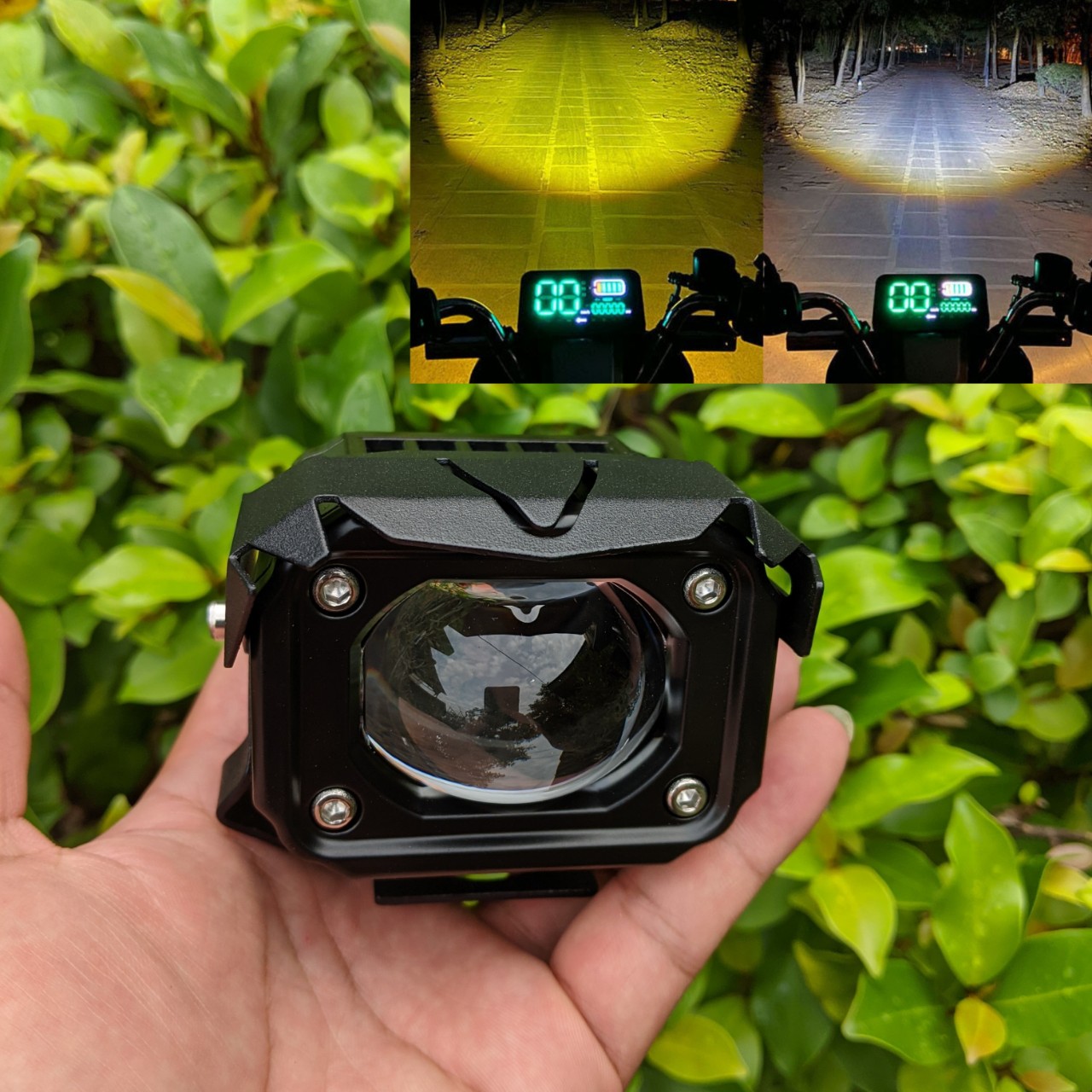 Đèn bi cầu 2 màu cốt vàng pha trắng F20xp 60w siêu sáng chống nước dành cho khách vip