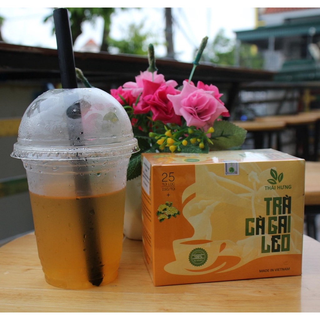 Trà thảo dược cao cấp Thái Hưng: CÀ GAI LEO