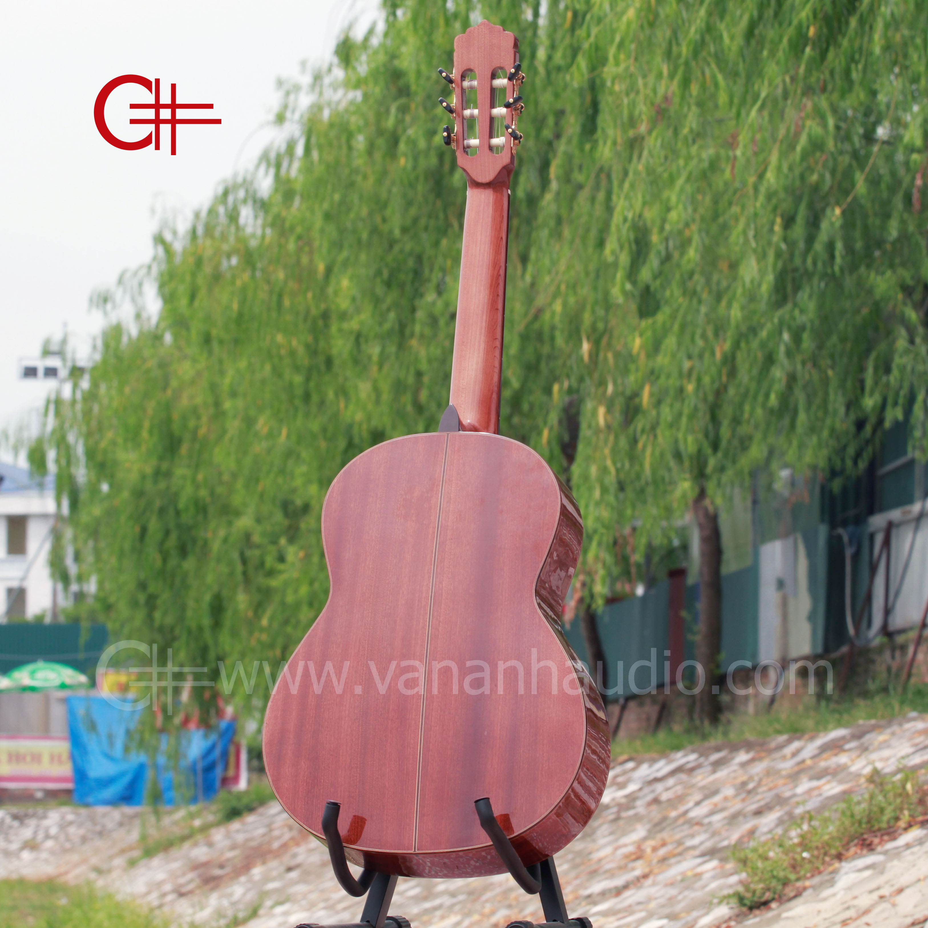 Đàn guitar classic C500C