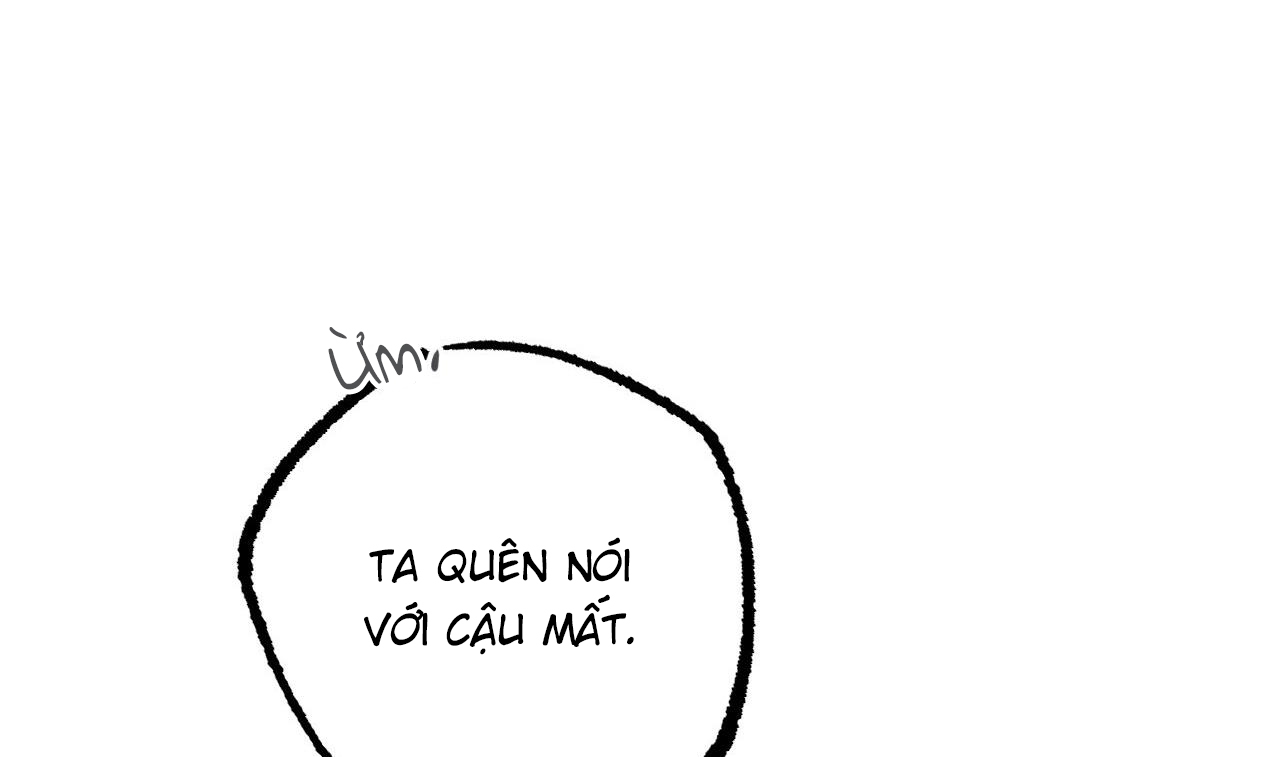 những chú thỏ của hapypy chapter 51 245