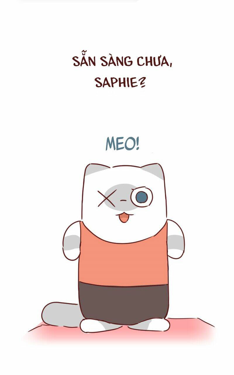 saphie: chú mèo một mắt chapter 25 7