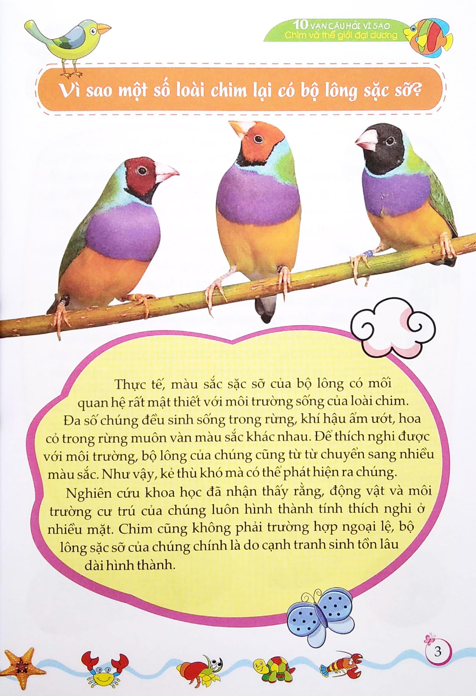 10 Vạn Câu Hỏi Vì Sao? - Chim Và Thế Giới Đại Dương