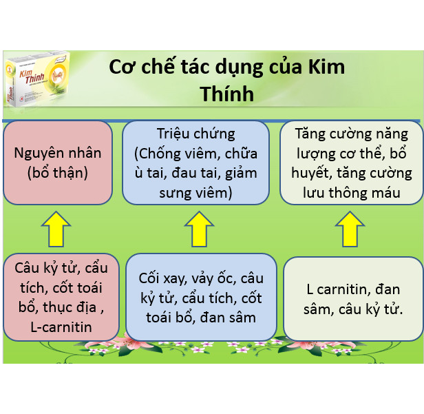 Thực phẩm bảo vệ sức khỏe Kim Thính tăng cường thính giác