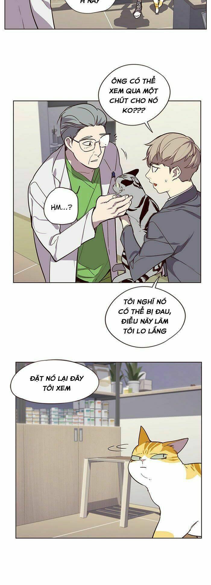 biến thân thành mèo chapter 10 42