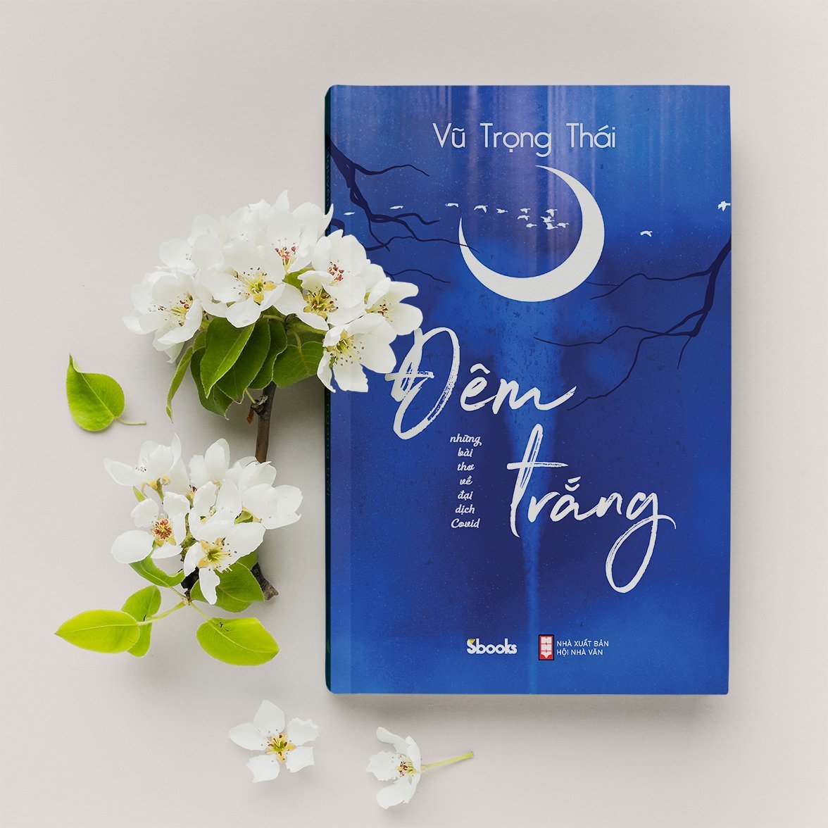 NHỮNG BÀI THƠ VỀ ĐẠI DỊCH COVID - ĐÊM TRẮNG (Vũ Trọng Thái)