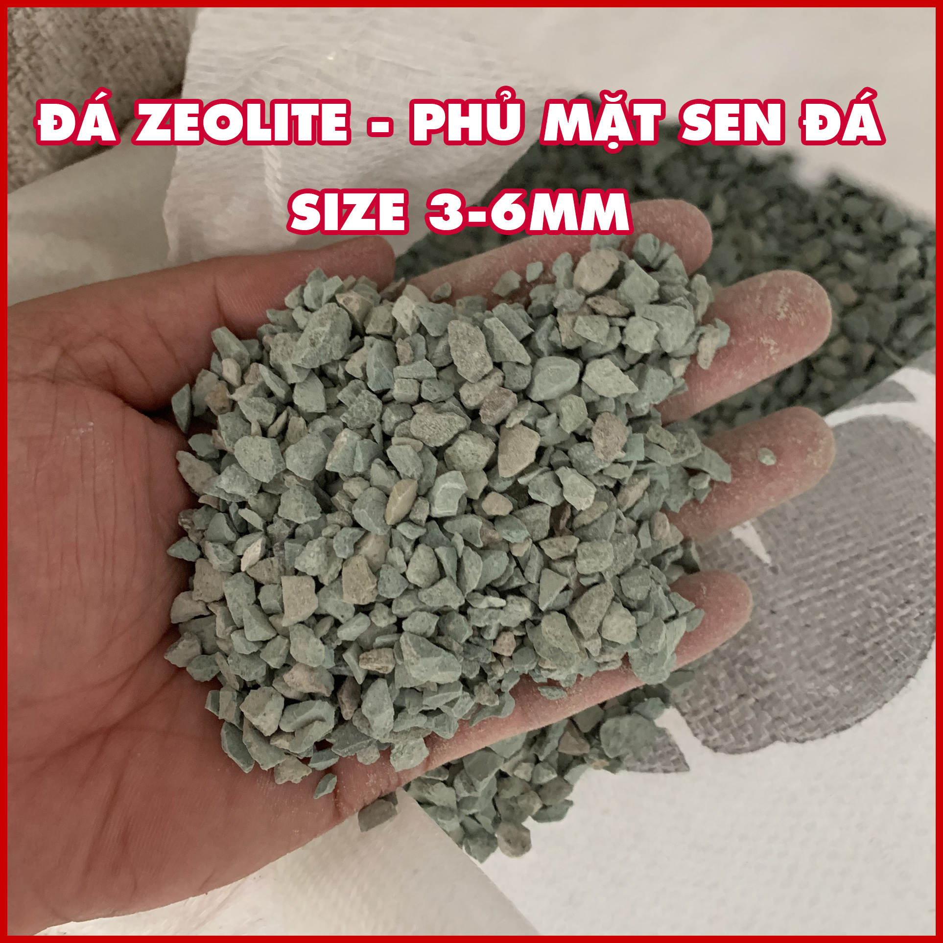 [500gr mua 5 tặng 1] Đá Zeolite stone - phủ mặt sen đá