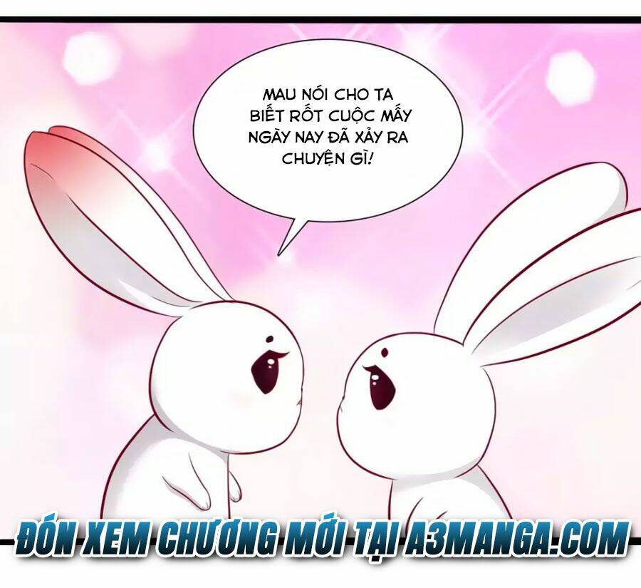 thỏ yêu tiểu vương phi chapter 49 33