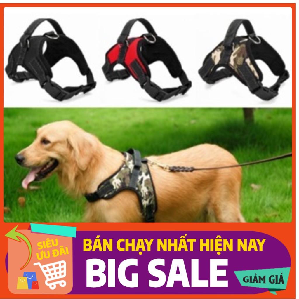 Đai lưng hình chư X cho cún (sale khủng) Đủ size